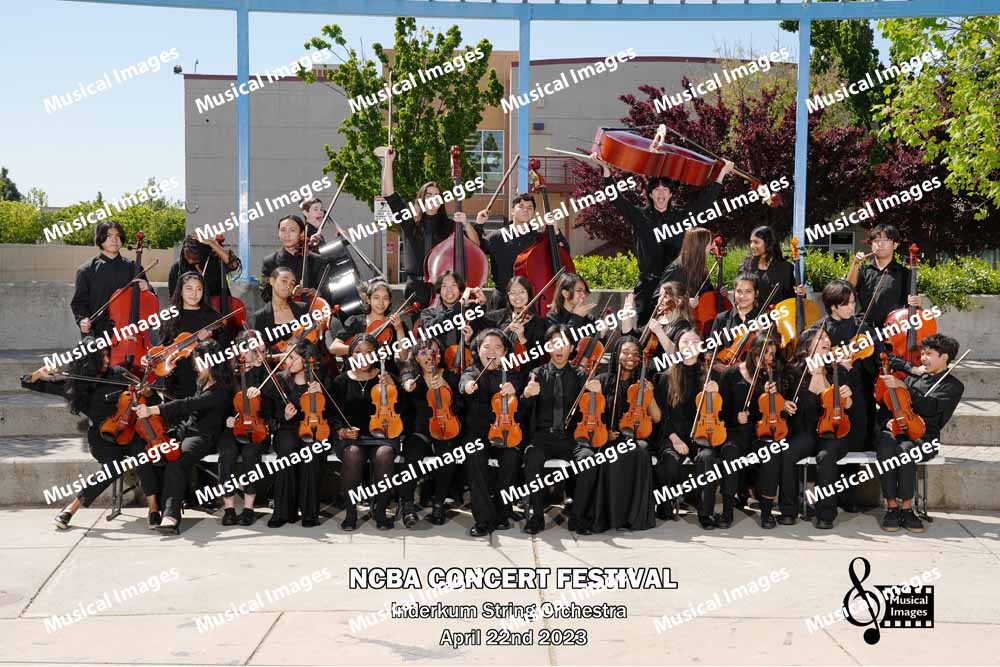Musical Images